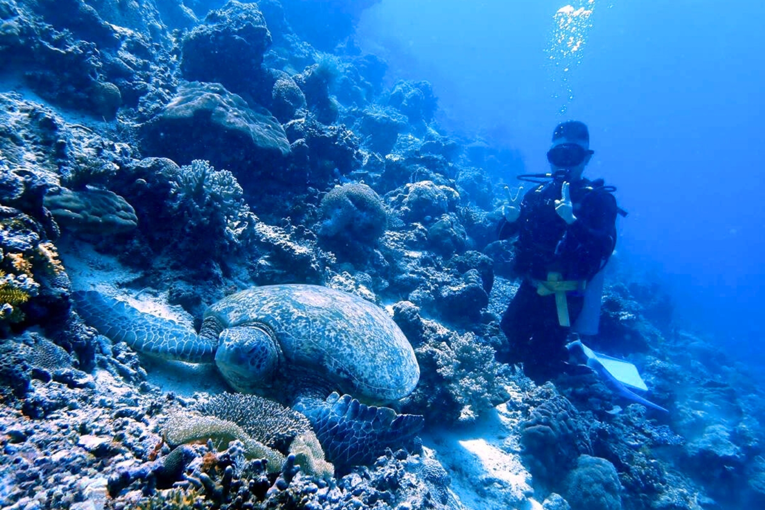 2-Day Semporna Islands Diving with Guaranteed Sipadan Permit